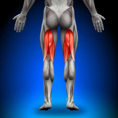 Strengthen Your Hamstrings to Prevent Injuries Here Are the Best Ways