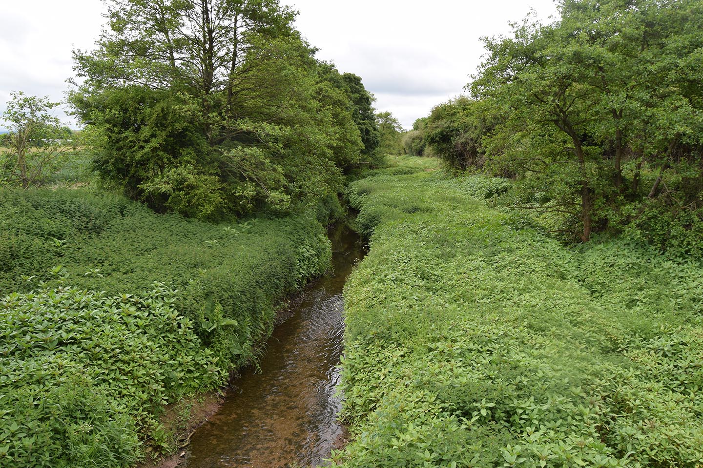 Leg 5 Days 18 to 21 Taunton to Wells Somerset, May 2326 2017, 45.27