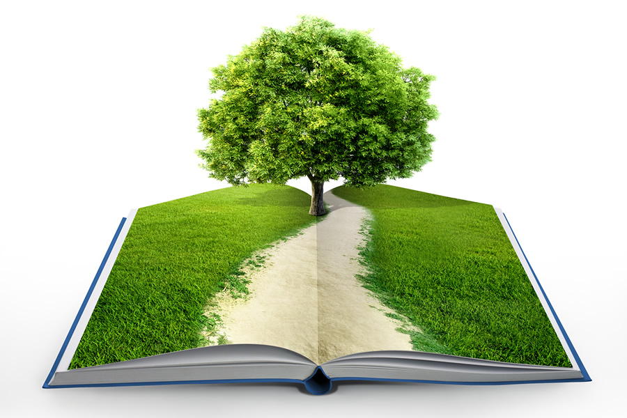 Gallery For > Tree Growing Book
