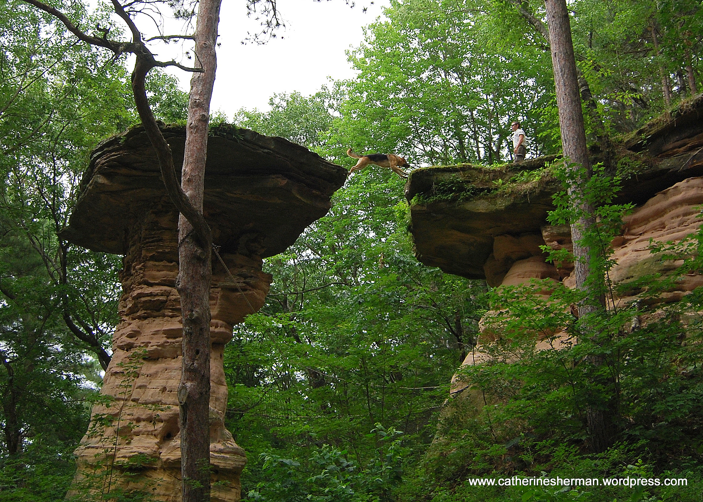 Leap of Faith in the Wisconsin Dells Catherine Sherman