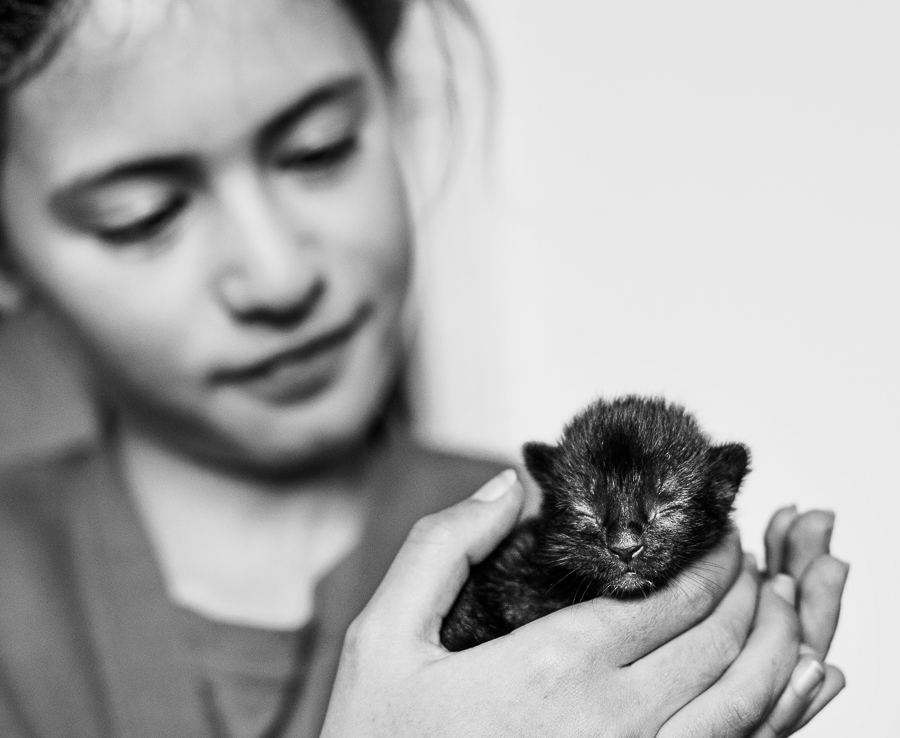 Newborn kittens... Cath Lowe