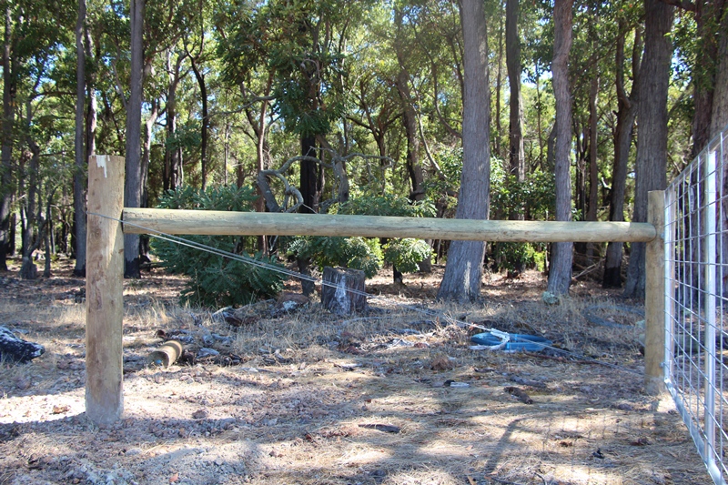 The Country Diary of a GenX Woman First Box Strainer