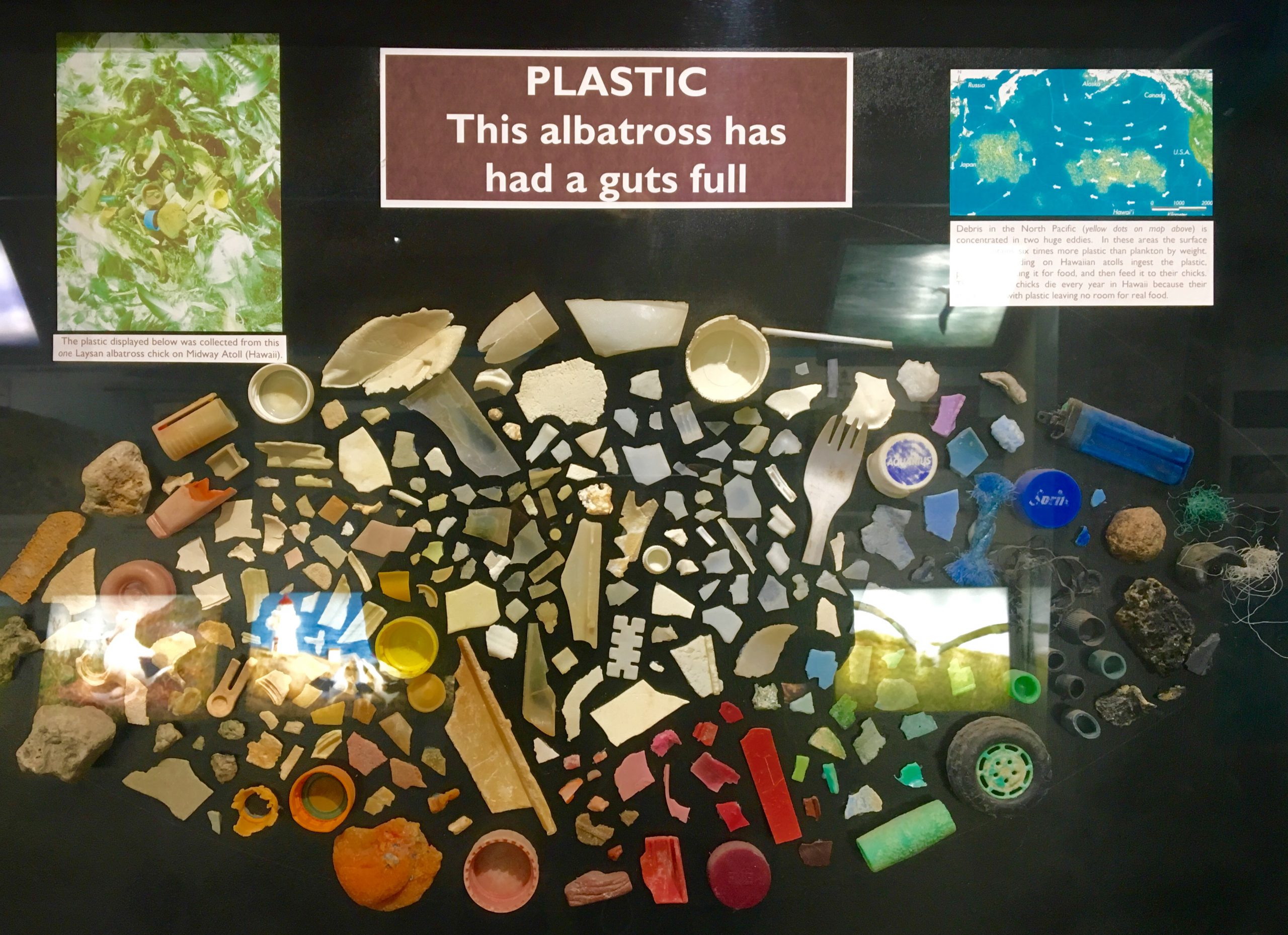 plastic everywhere, pacific