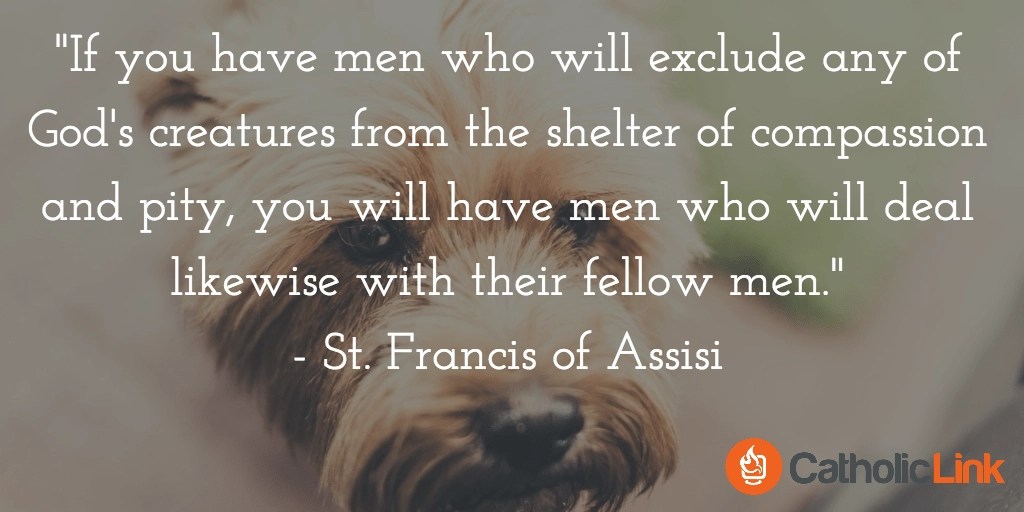 What is a Pet Blessing? The Feast of St. Francis