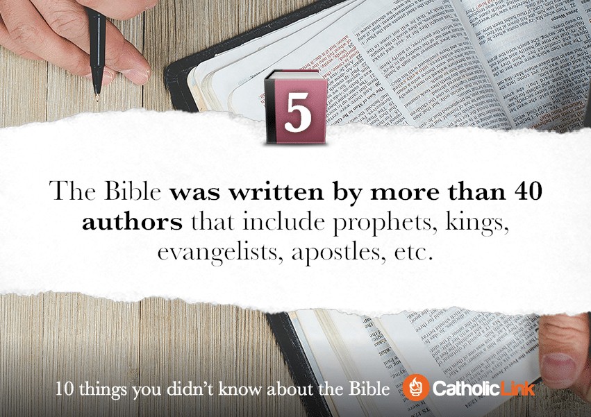 Gallery: 10 things you didn't know about the Bible | Catholic-Link