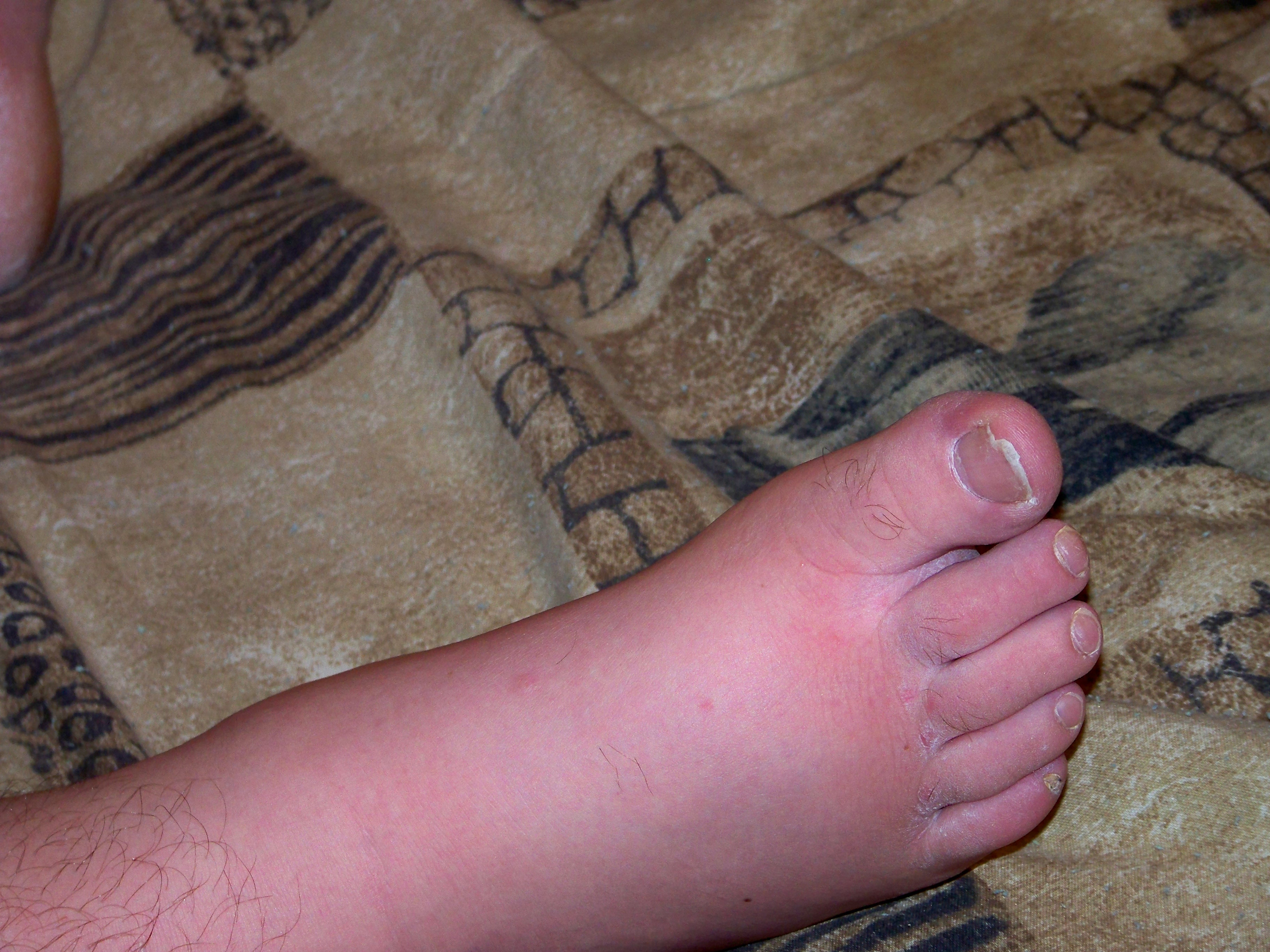 Online Prayer Chain Catholic4EverMore