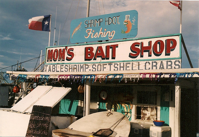 Maybe I'll Open a Bait Shop (that's how many cans of worms