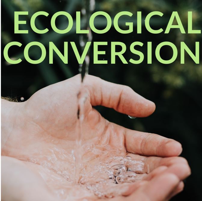 The Beauty of Creation Ecological Conversion with Sister Damien Marie