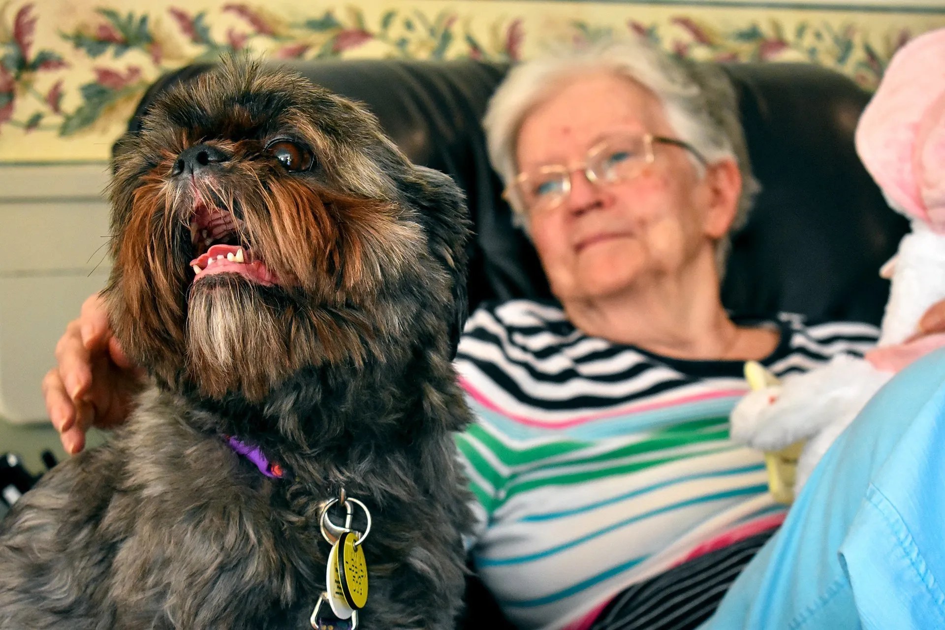Pets provide therapeutic benefits to residents of Catholic facilities