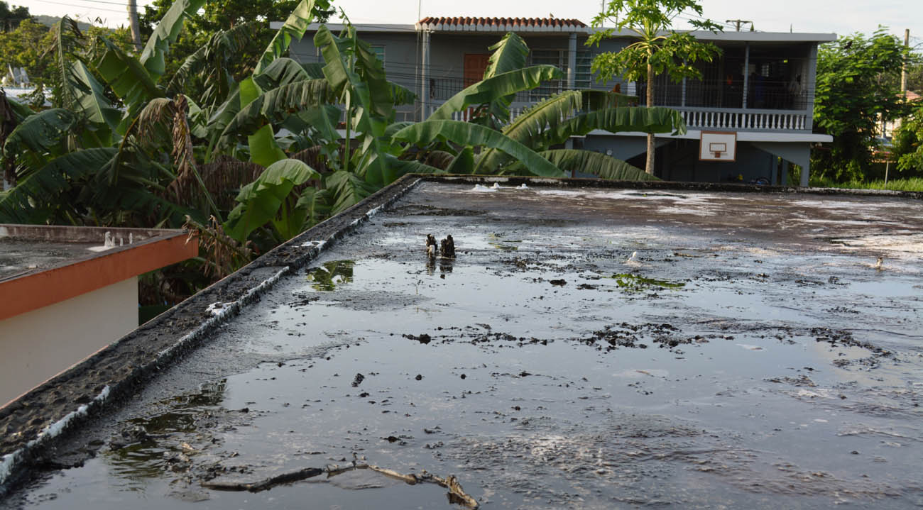 In Puerto Rico, mistrust fuels more public doubt than urgency on Zika