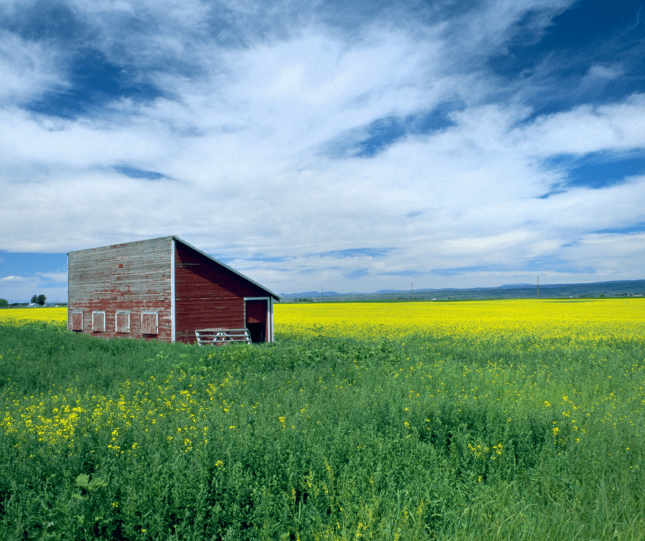 House of Representatives to Vote on Farm Bill Catholic Rural Life