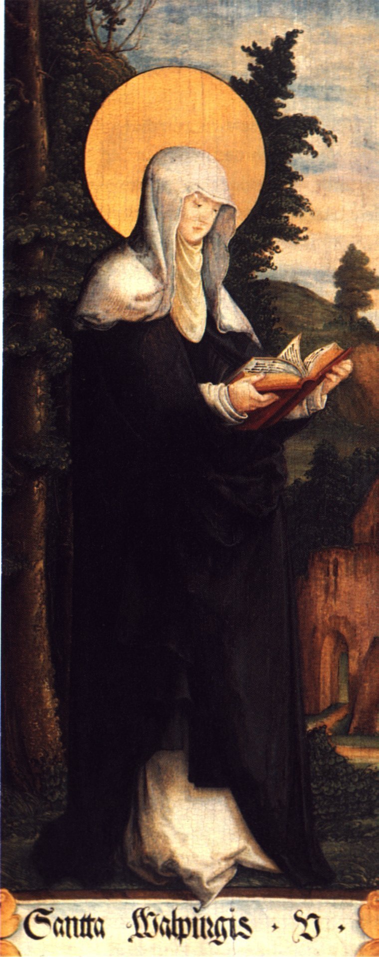 About St. Walburga Patron Saint Article