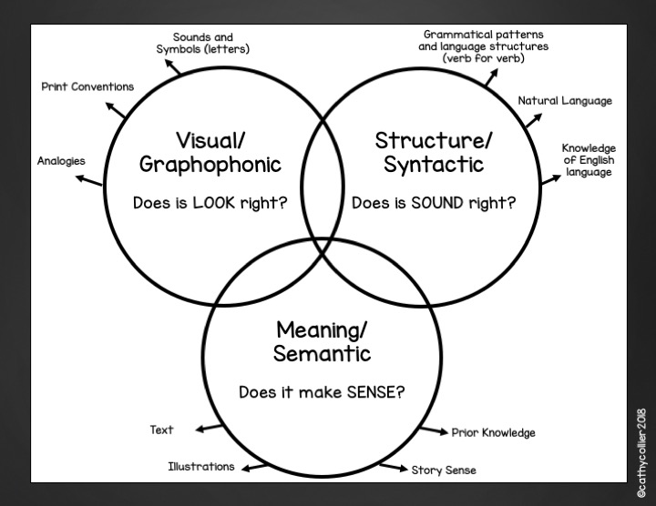 Investigate Their Miscues For Reading Success
