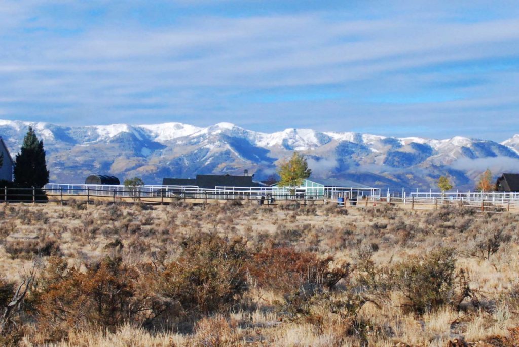 Silver Creek Lot Sold! Cathy Slusher Real Estate Park City