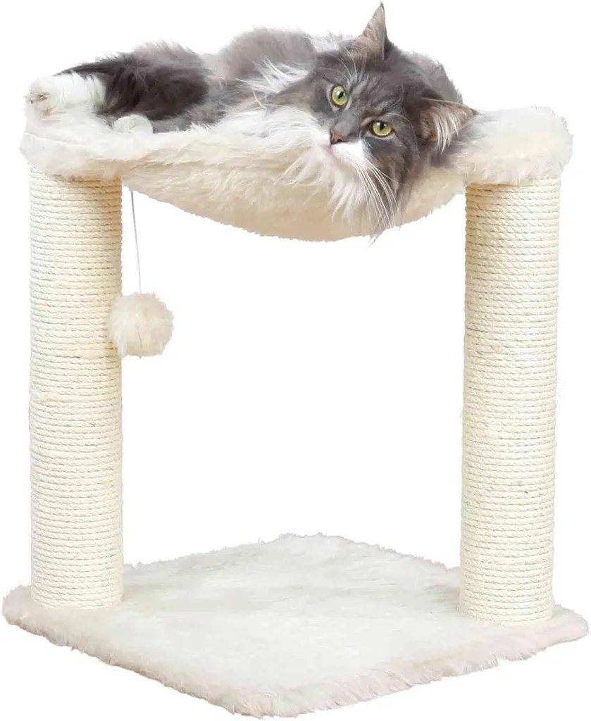 5 Best Cat Scratching Trees Your Kitty Will Love