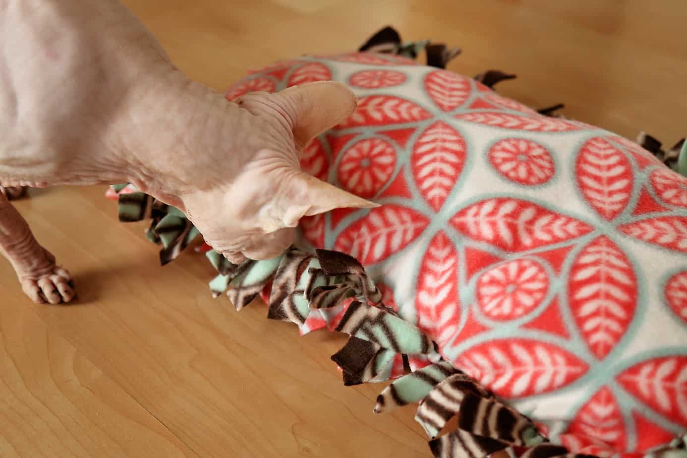 How To Make A SuperEasy NoSew Cat Bed The Catington Post