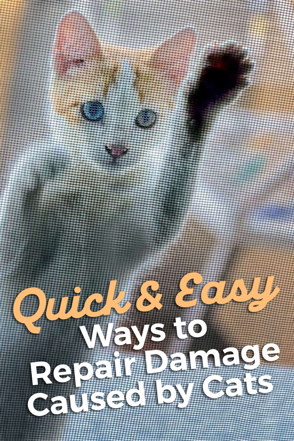 Quick & Easy Ways to Repair Damage Caused by Cats