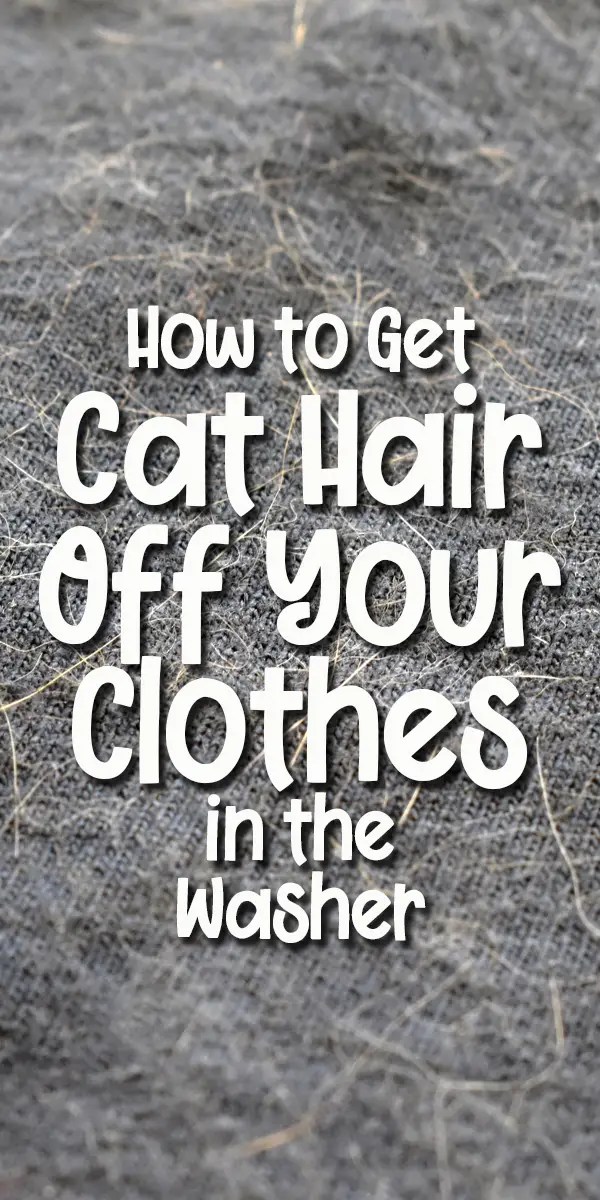 How to Get Cat Hair off Your Clothes in The Washing Machine