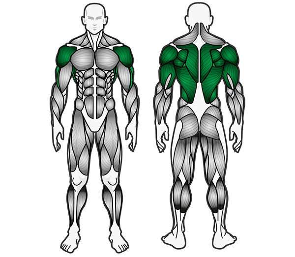 ST207 Catler Pro Fitness Strength Plate Loaded United States