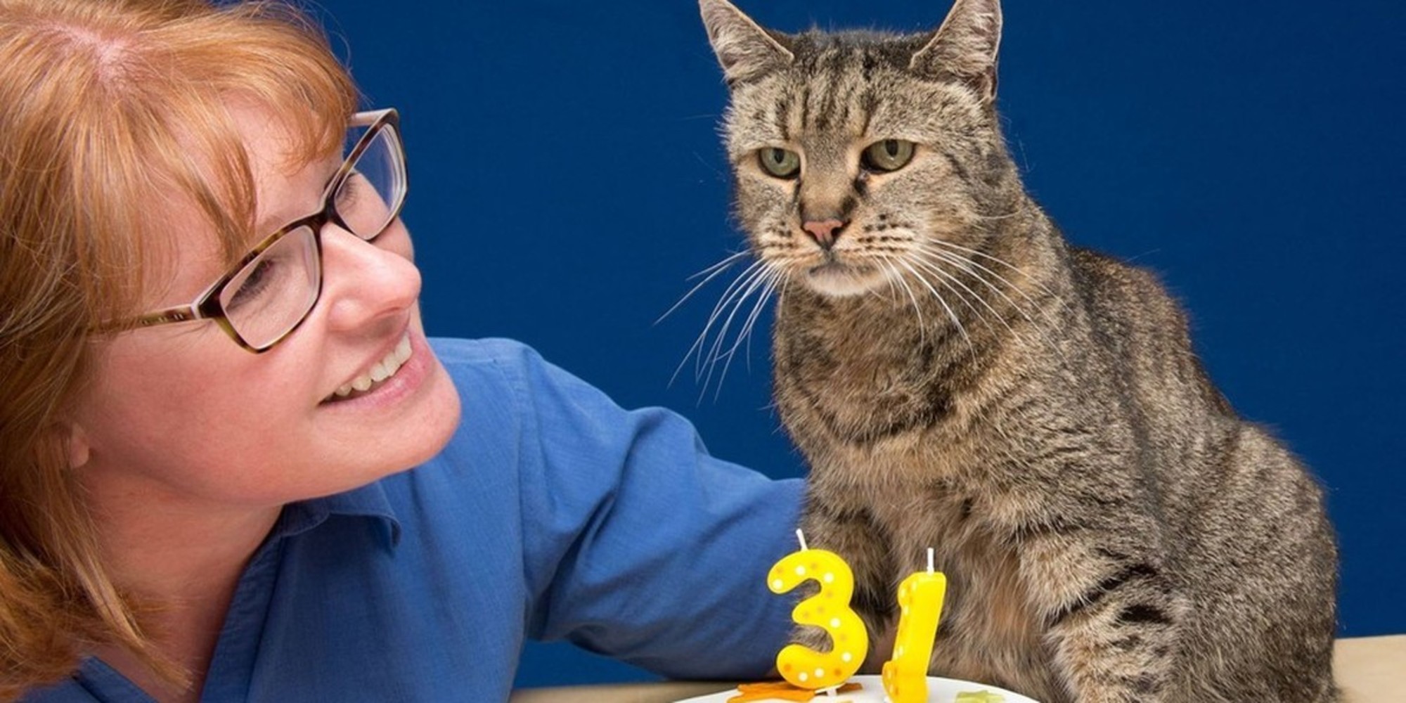 31yearold Cat, Who Chose His Humans 26 Years Ago, is Still Going