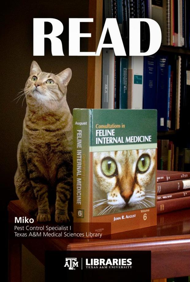 librarycats07 Catlov