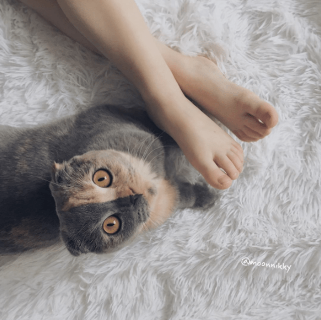 How A Unique Personality Helped This Cute Kitten Find Her Forever Mom