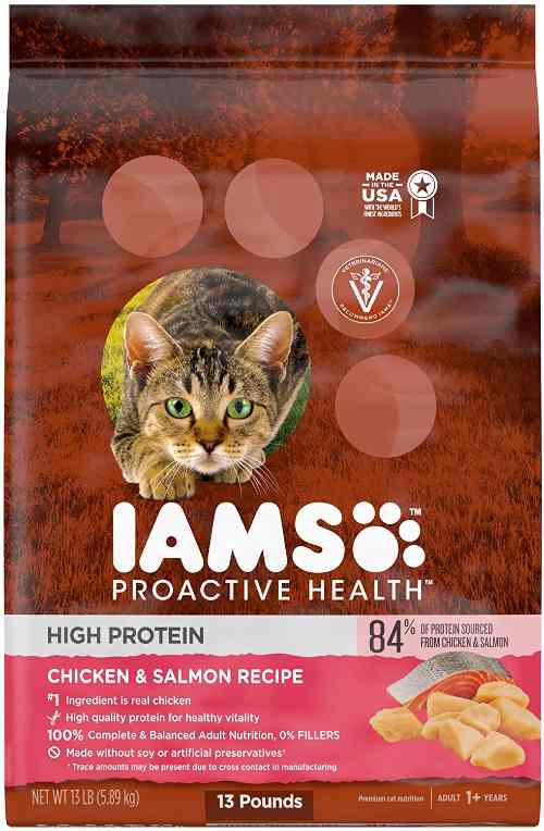 Best High Calorie Cat Food 2024