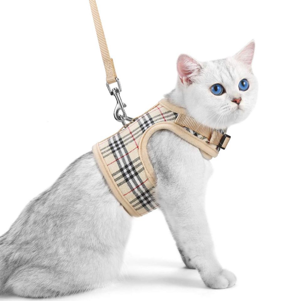 Best Cat Harnesses of 2020 Reviews & Buying Guide Catnipsum