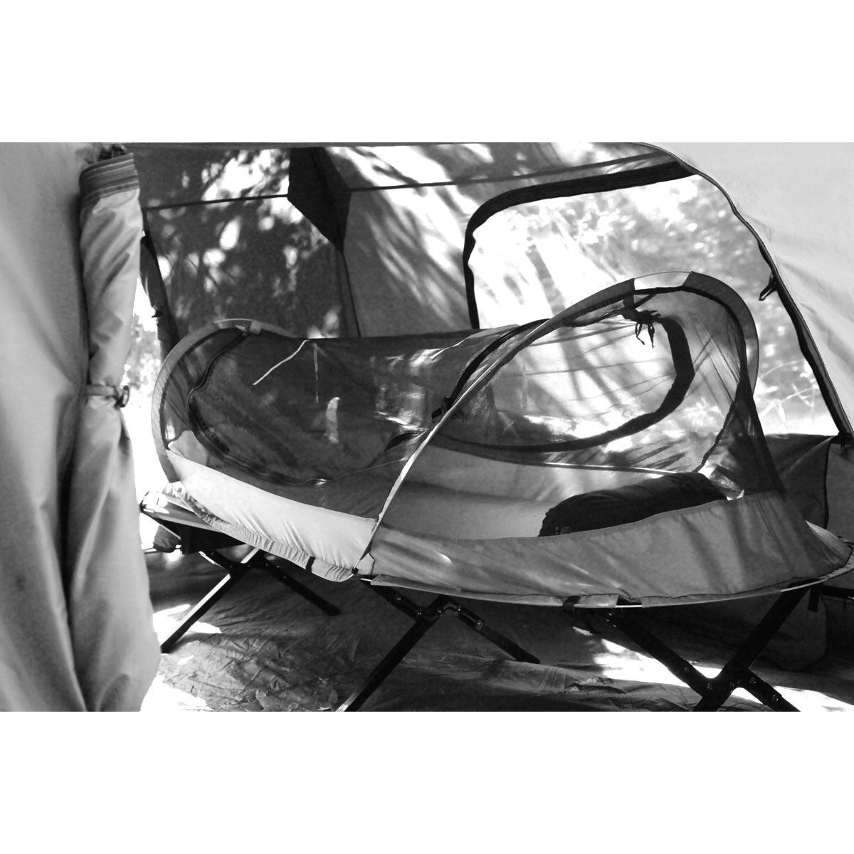 Burrow (USA Version) Catoma