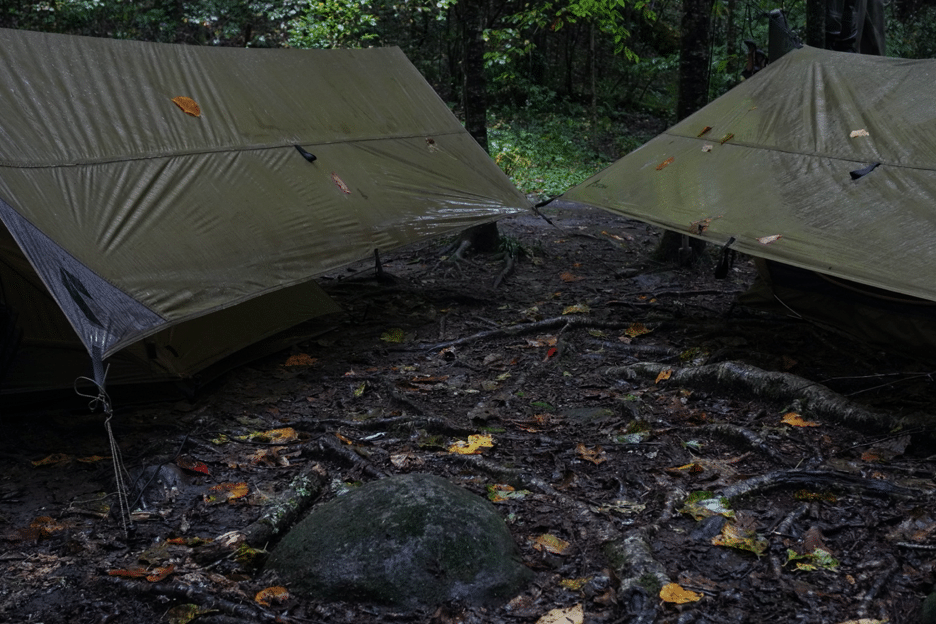 Planning a Backcountry Fly Fishing Trip to Great Smoky Mountains