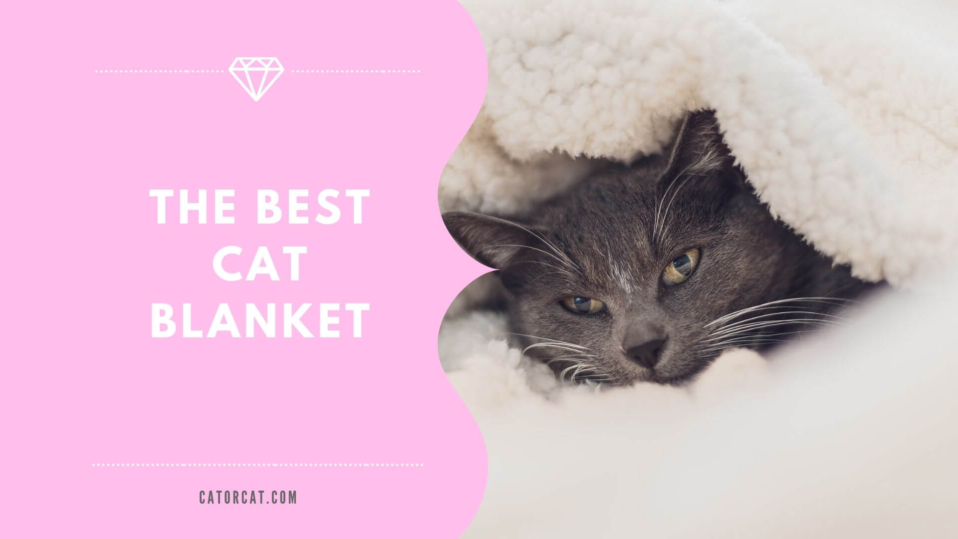 The 5 Best Cat Blankets of 2024 Do Cats Need Blankets? Cat or cat
