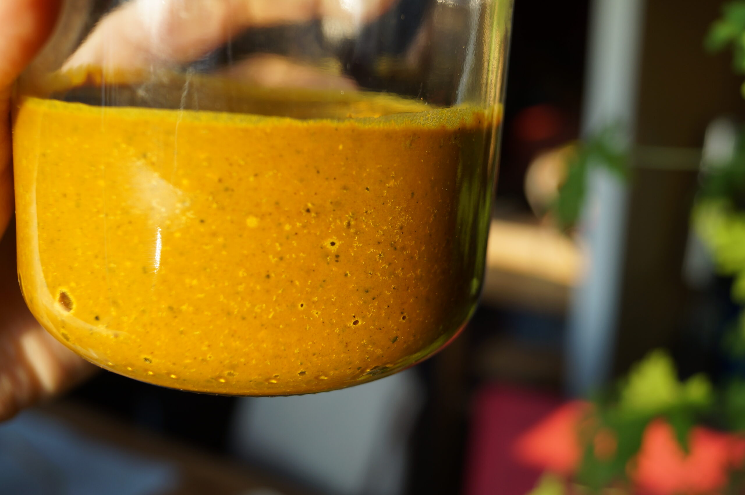 Pâte de curcuma pour chat, chien un antiinflammatoire naturel