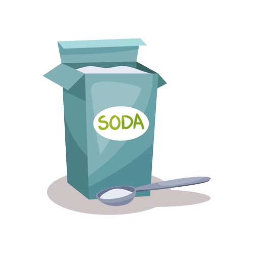 Best Paper Cat Litter Paper Cat Litter Pros and Cons