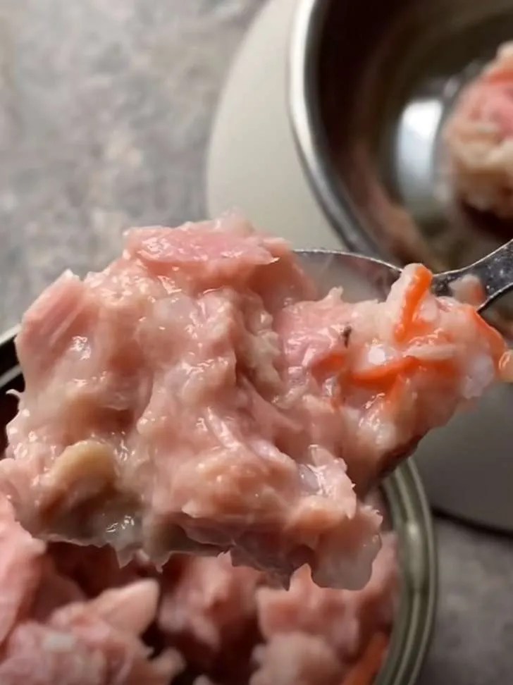 How To Make Cat Food 12 Delicious Recipes