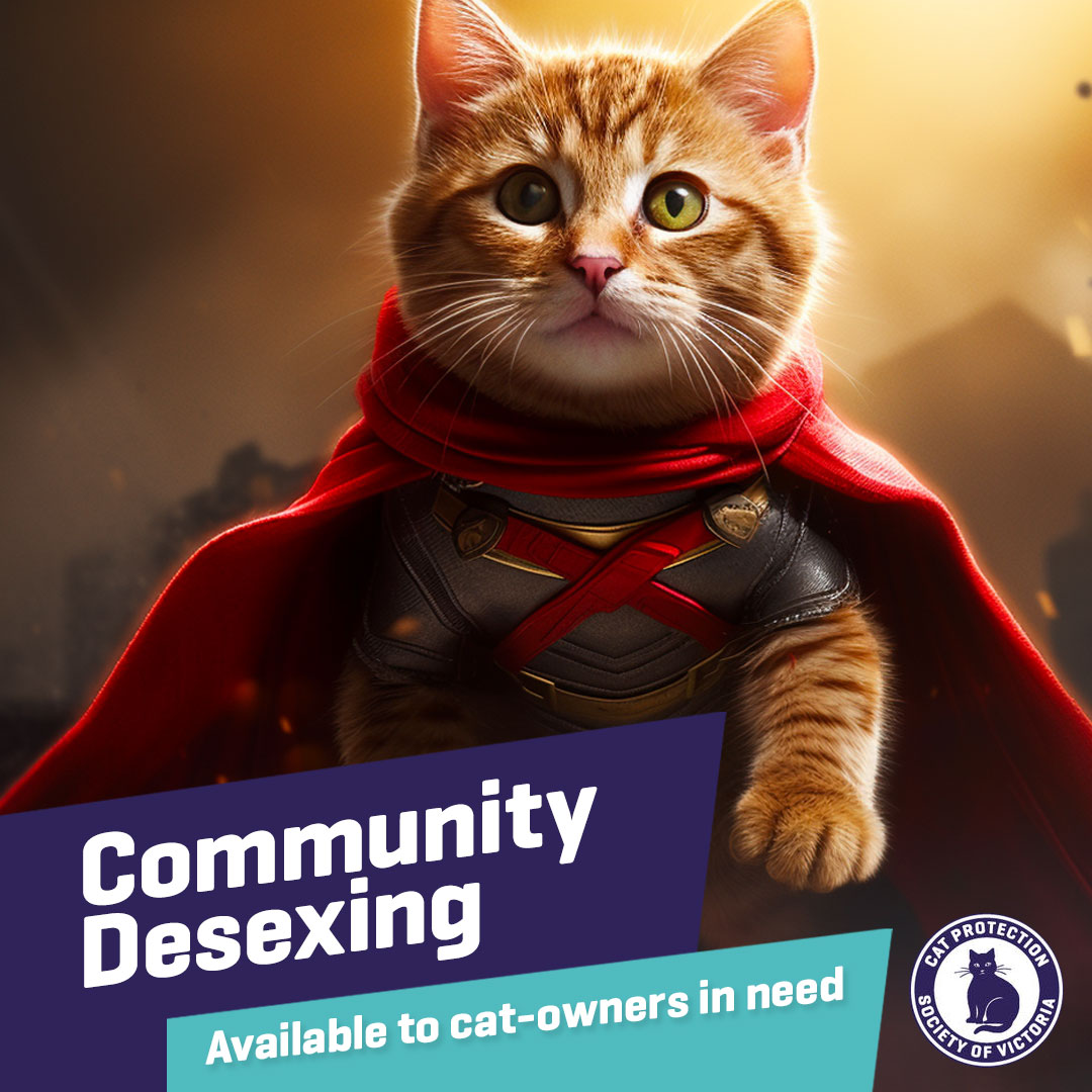 Community Desexing Cat Protection Society of Victoria