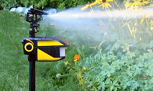 Contech CRO101 Scarecrow Motion Activated Sprinkler Best Cat