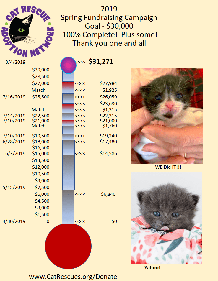 Cat Rescue and Adoption NetworkSpring Fundraiser Update Cat Rescue