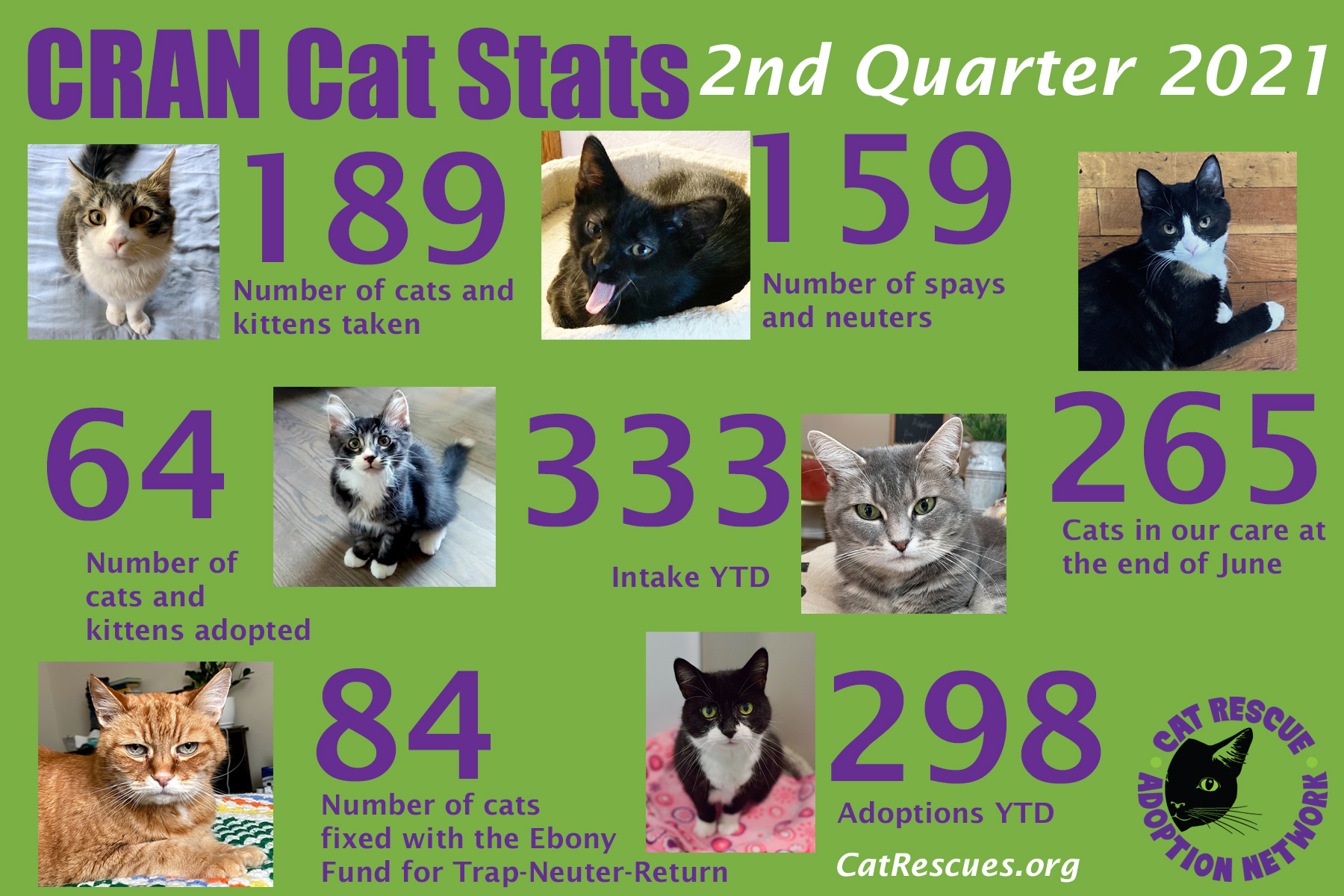 Cat Rescue and Adoption NetworkCRAN Cat Stats Cat Rescue and Adoption