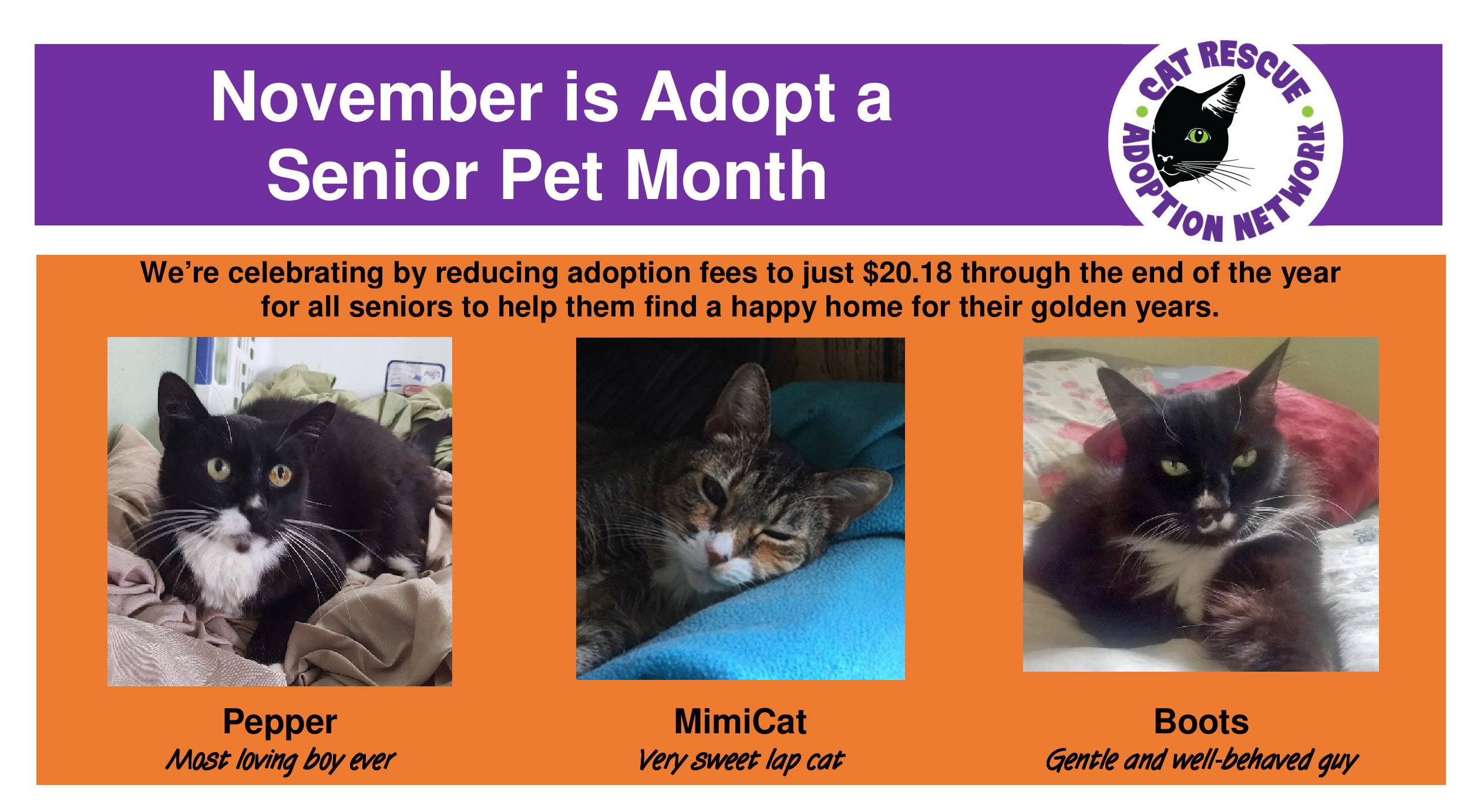 Cat Rescue and Adoption NetworkAdoptASenior2018Final_2Short Cat