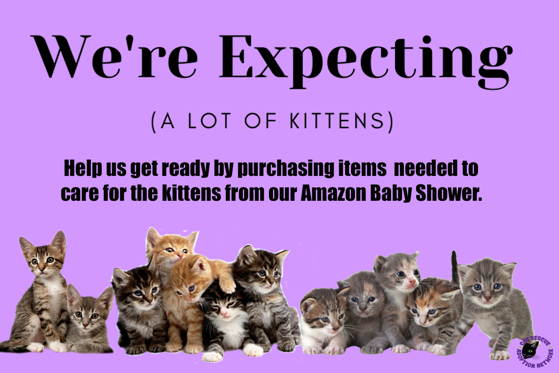 Cat Rescue and Adoption NetworkKitten Shower Cat Rescue and Adoption