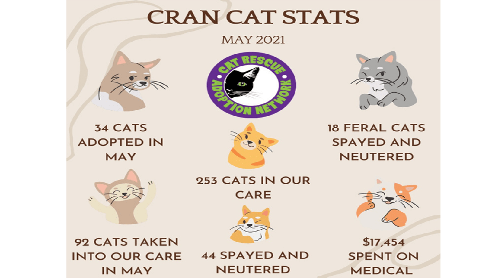 Cat Rescue and Adoption NetworkUntitled design (2) Cat Rescue and