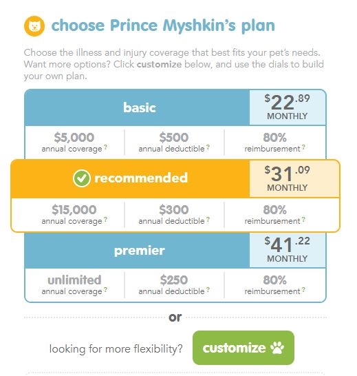 Best Pet Insurance For Cats In 2023 Unbiased Review