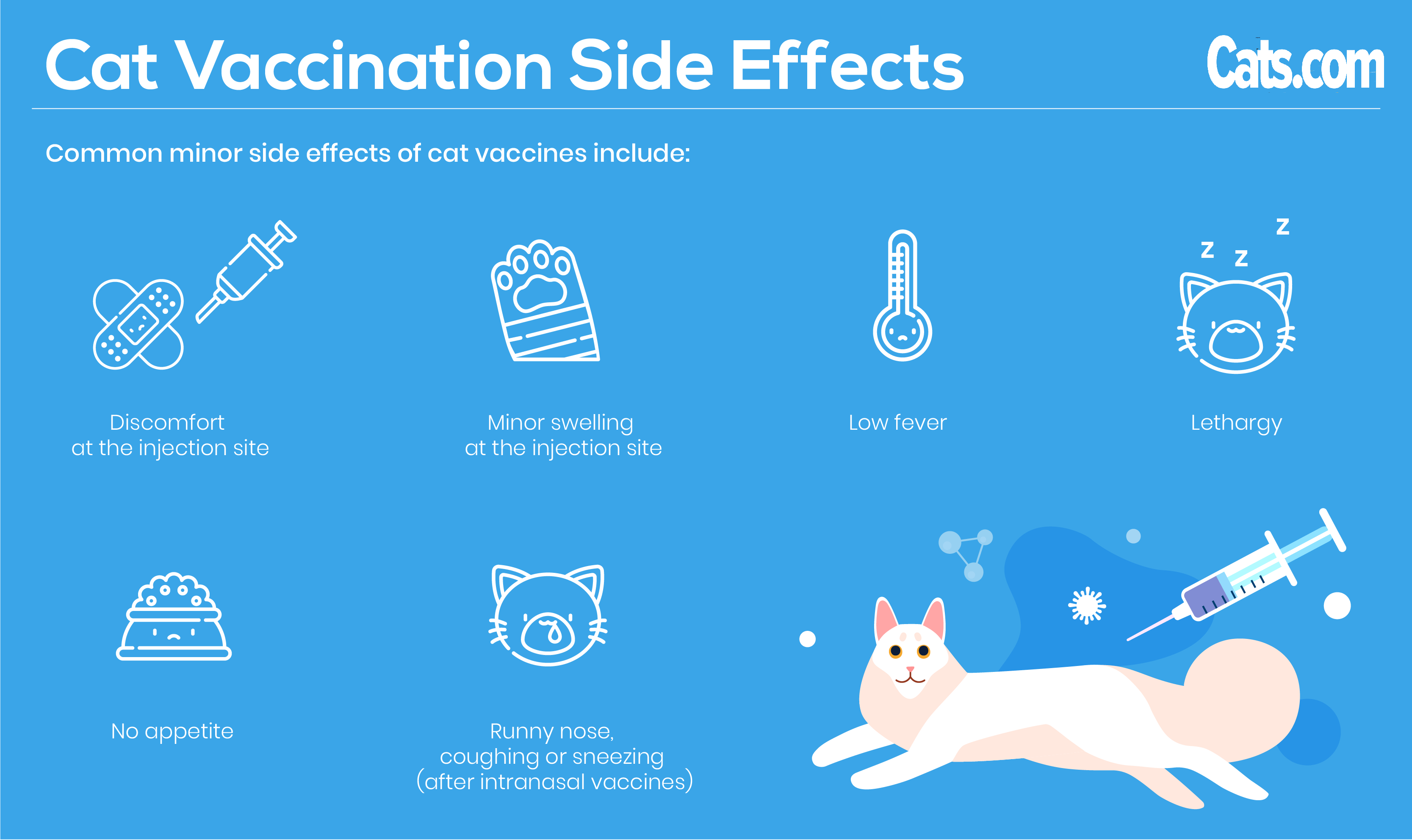 Cat Vaccinations What You Need To Know?