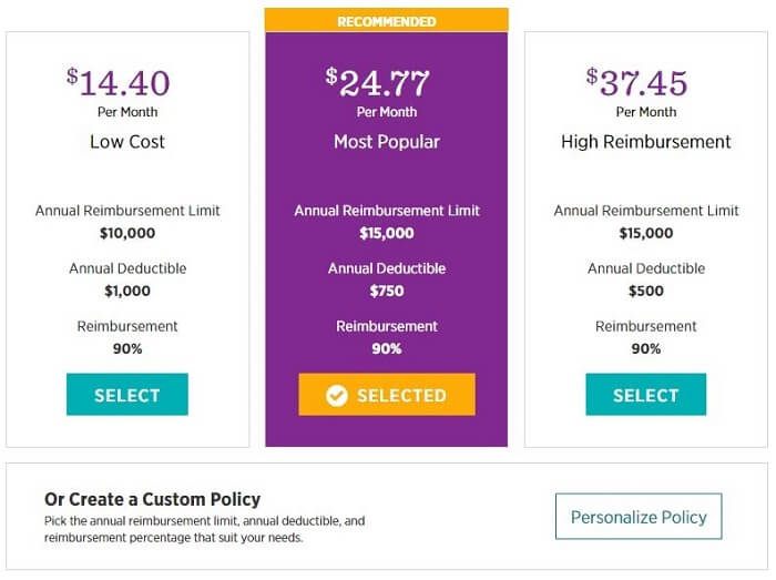 Best Pet Insurance For Cats In 2023 Unbiased Review