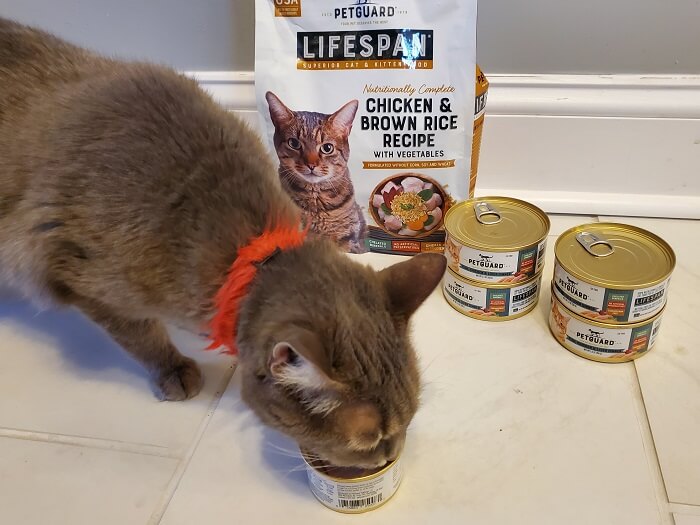 Unbiased Petguard Cat Food Review Discontinued