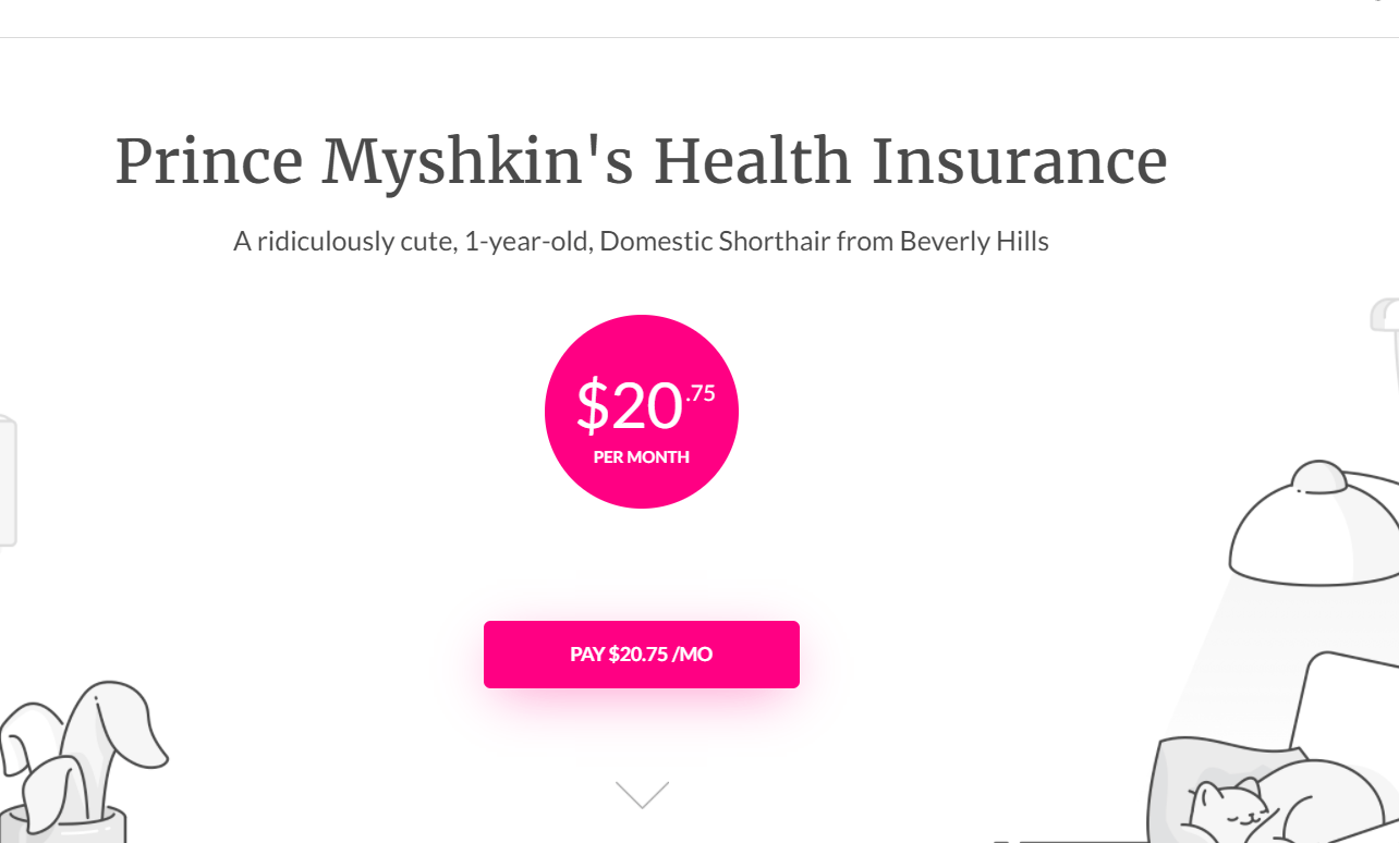 Best Pet Insurance For Cats In 2023 Unbiased Review