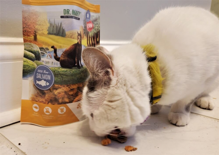 Unbiased Dr. Marty Cat Food Review