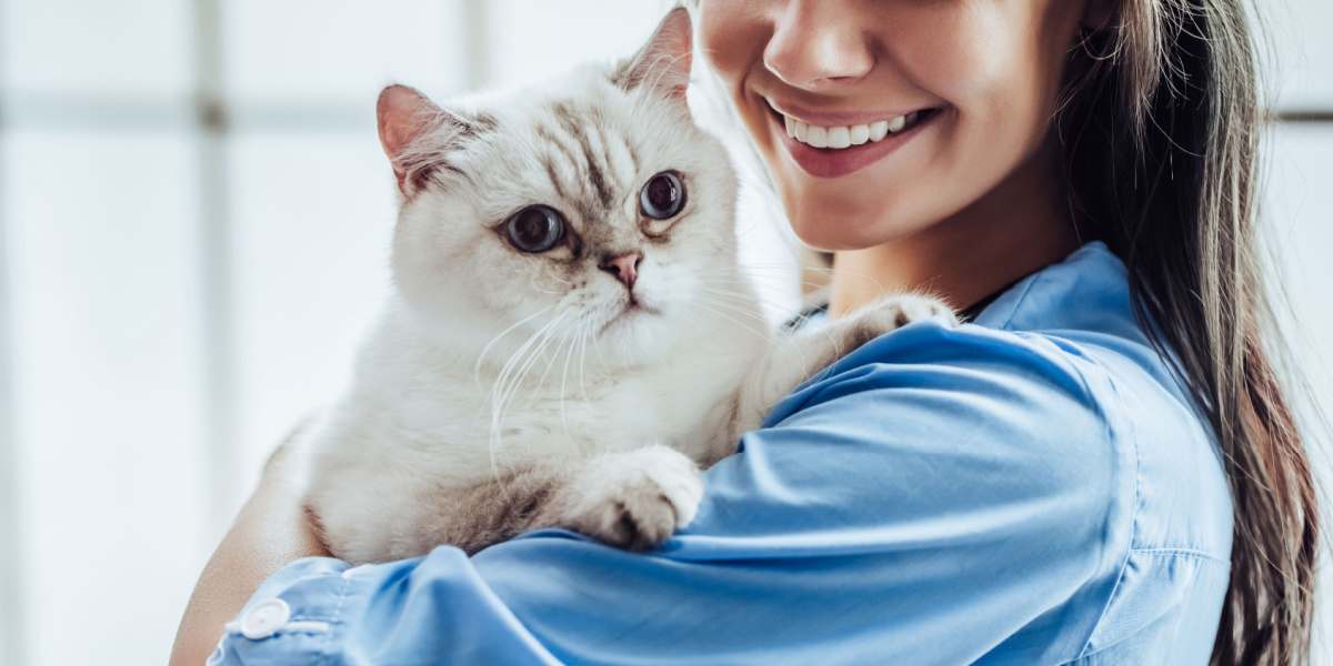 Buprenorphine for Cats What It Does, Dosage & Side Effects