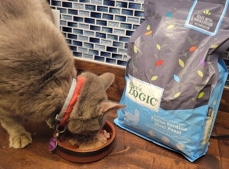 Unbiased Nature’s Logic Unbiased Cat Food Review In 2023