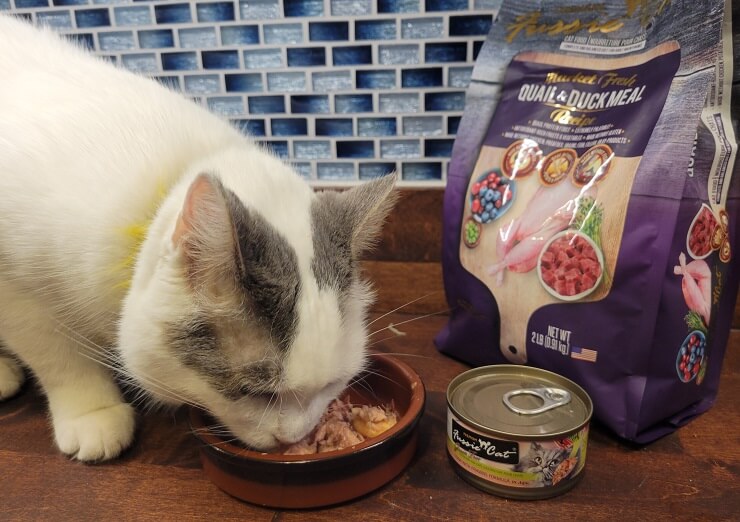 Unbiased Fussie Cat Food Review